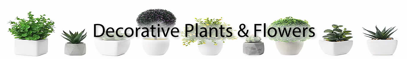 Deco Plants