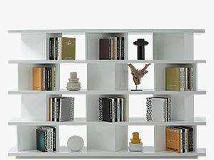 Bookcases & Shelves