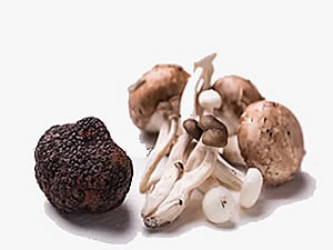 Mushrooms|Truffles
